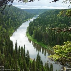 Meet your Posher, Marshalee